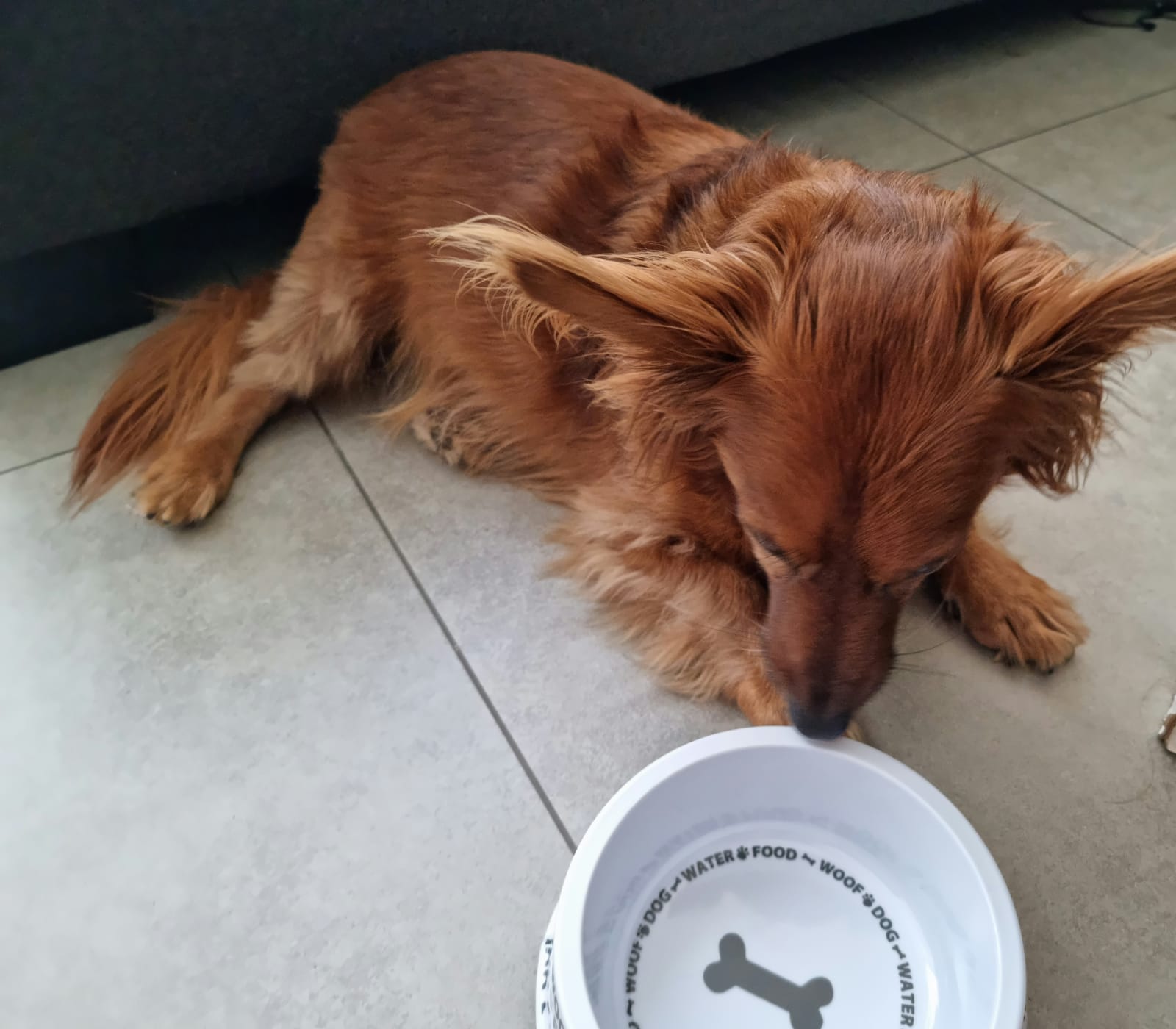 ���� ��� / ���� ���� 