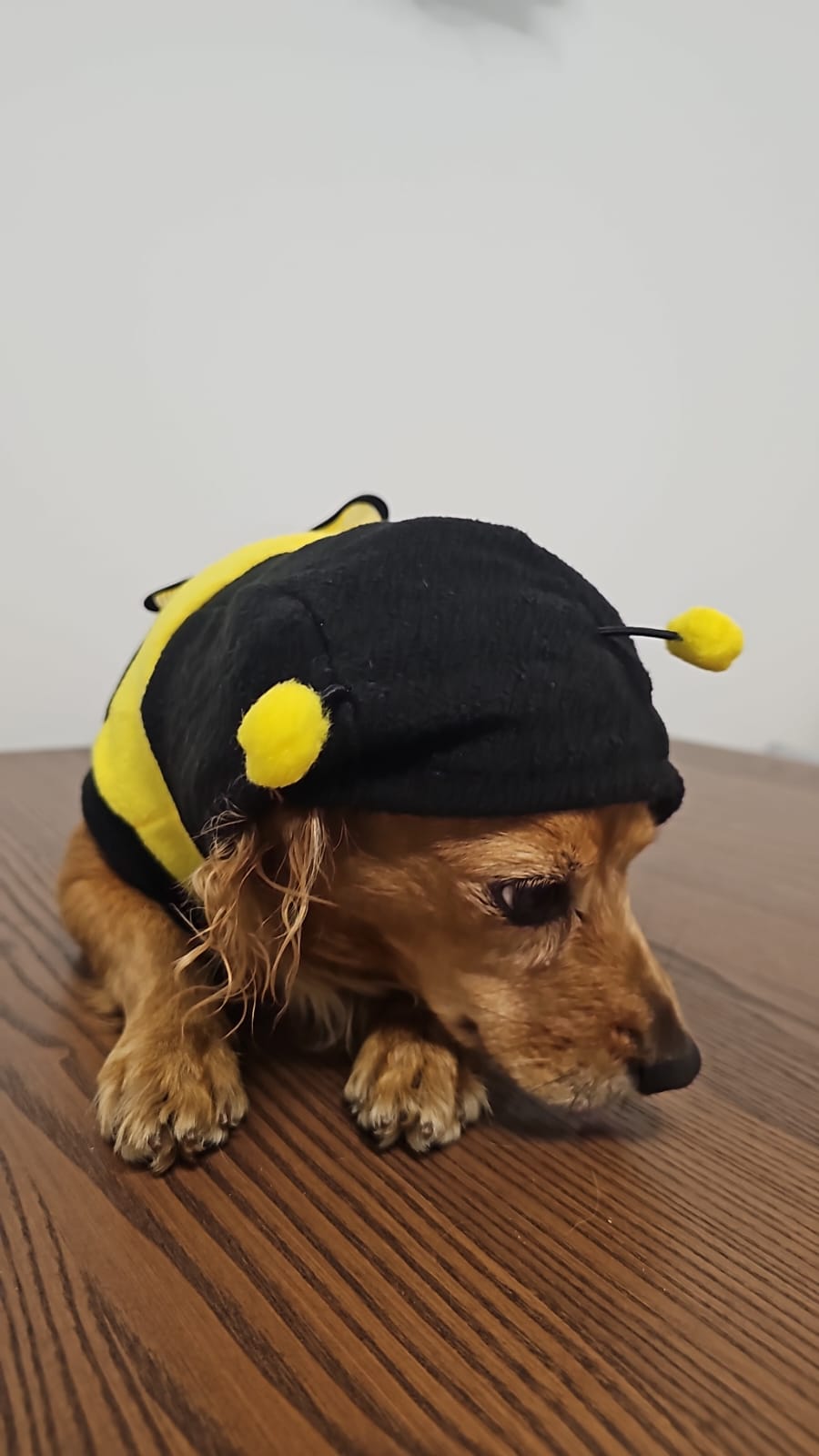 ������ ������ ���� 