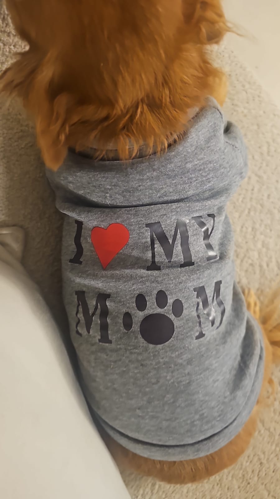 ����� ���� �� ����� ��� ��� ��  ��� 